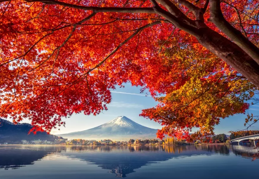 Japan travel seasons