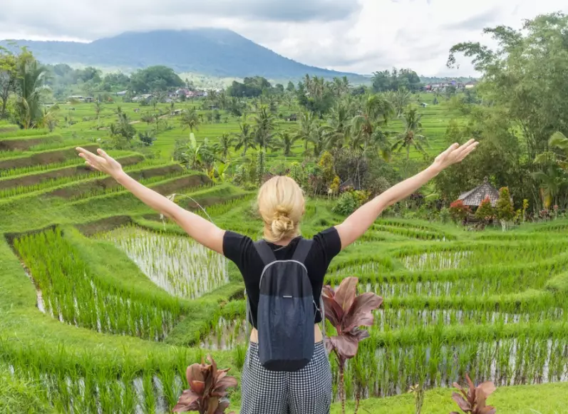 eco friendly Japan eco friendly Japan