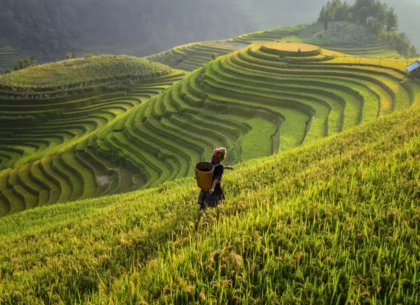 sustainable travel Japan sustainable travel Japan