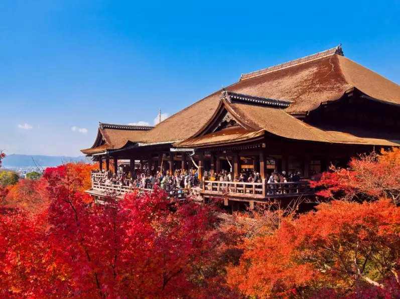 best temples in Kyoto best temples in Kyoto