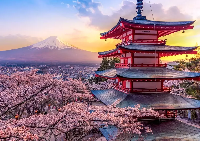 Tokyo weather by month