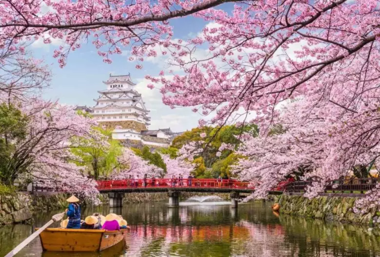 Tokyo seasons travel guide