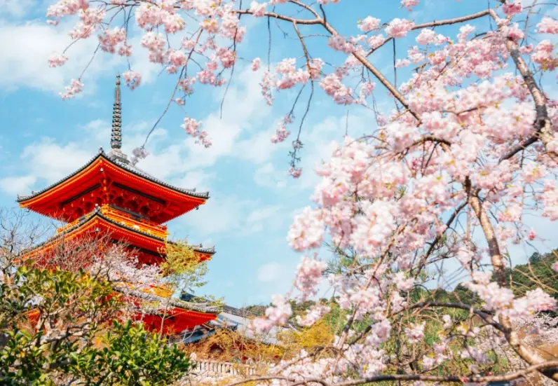 japan climate seasons