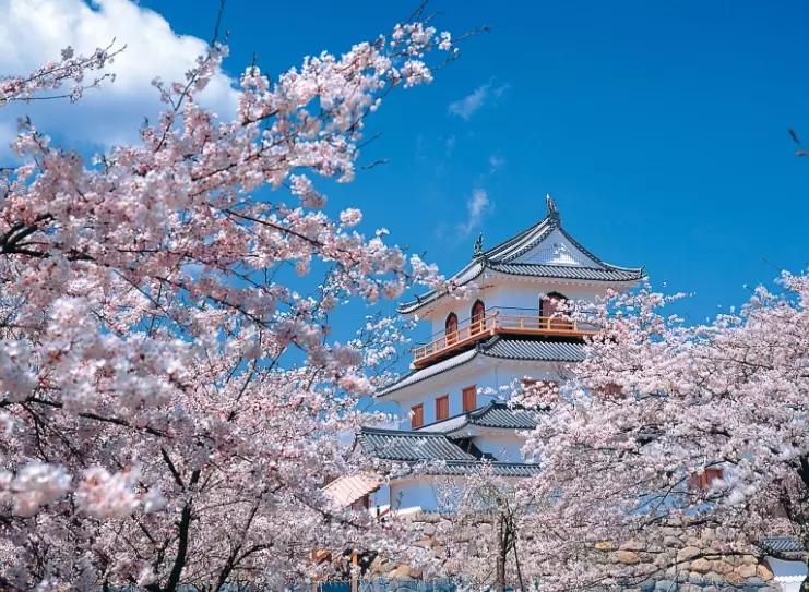 Japan typhoon season