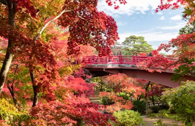 cheapest time to visit Japan