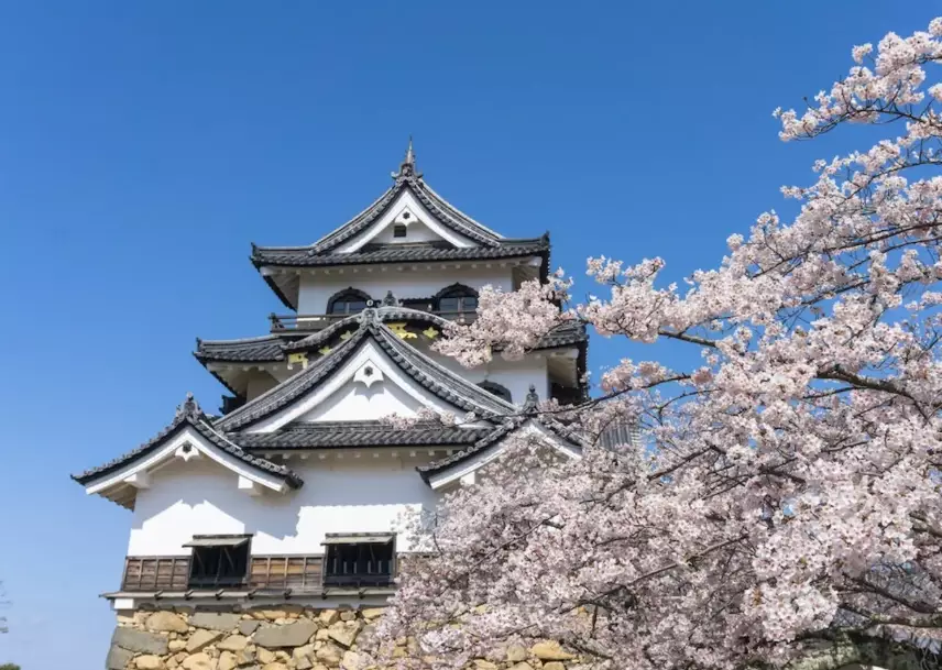 cultural immersion Japan