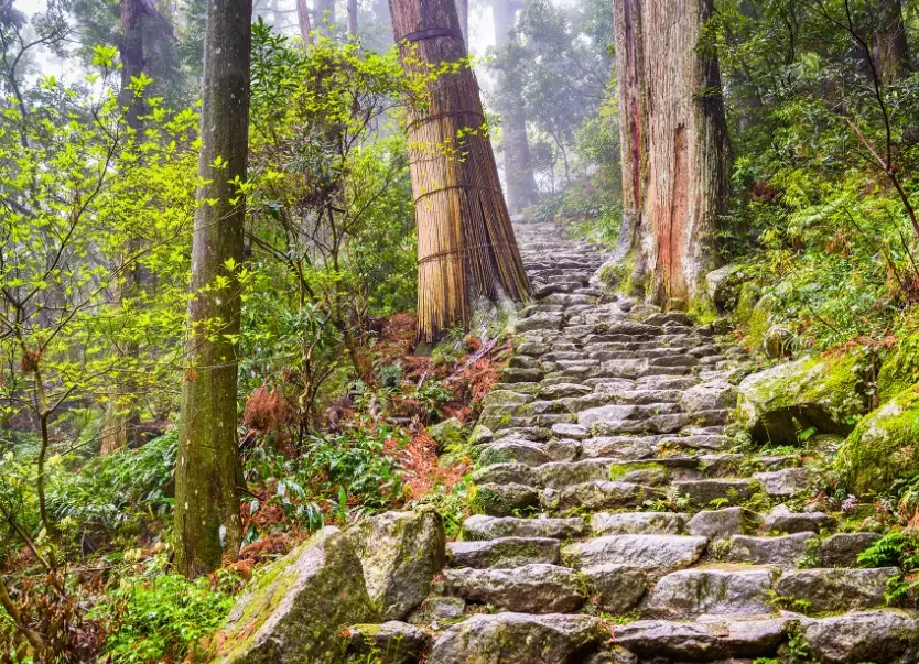 best hikes Japan