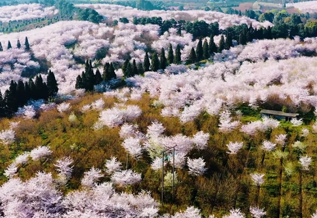 microseasons of Japan