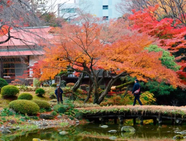 Japan seasonal calendar