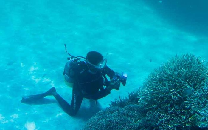 best dive sites Japan