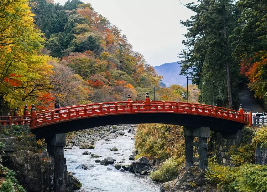 things to do in Tokyo