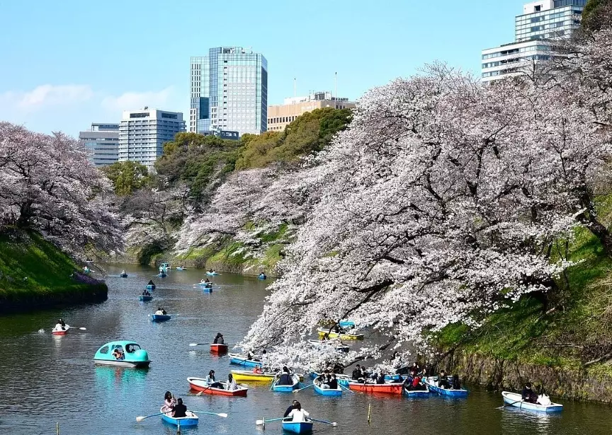 Tokyo 7 day itinerary