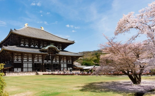 Japan travel budget 2024