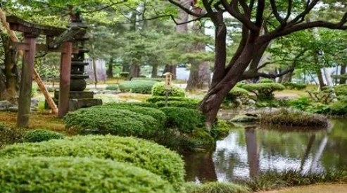 Is 5000 enough for Japan