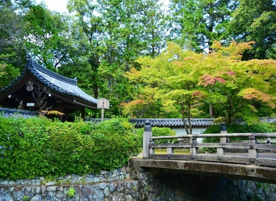 best temples in kyoto