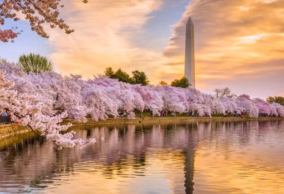 main festivals in Japan