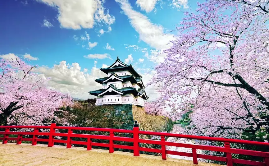 best places to see cherry blossoms