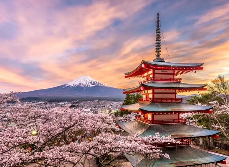 best time to visit Japan for cherry blossoms