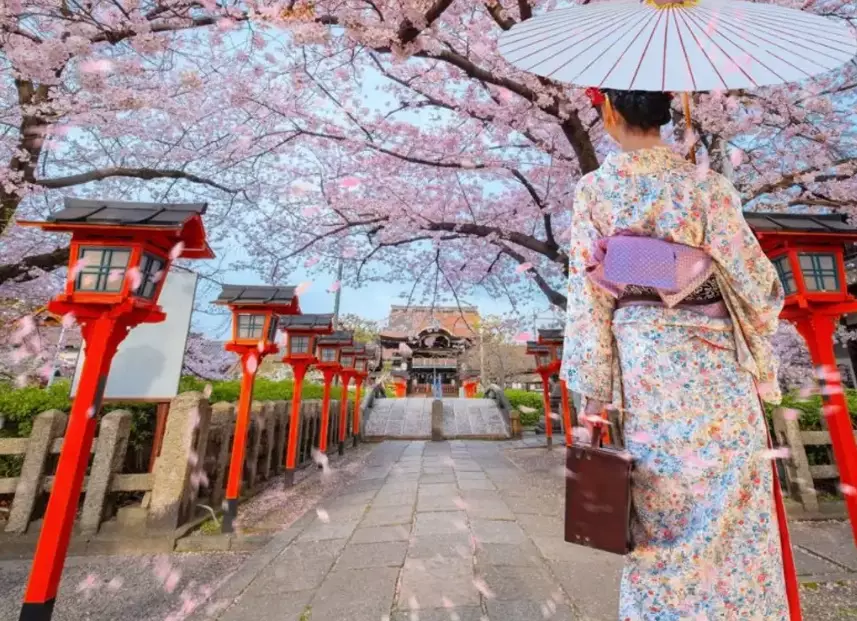 hanami season Japan