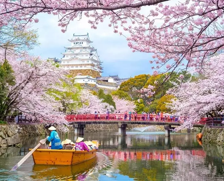 how much to budget for Japan