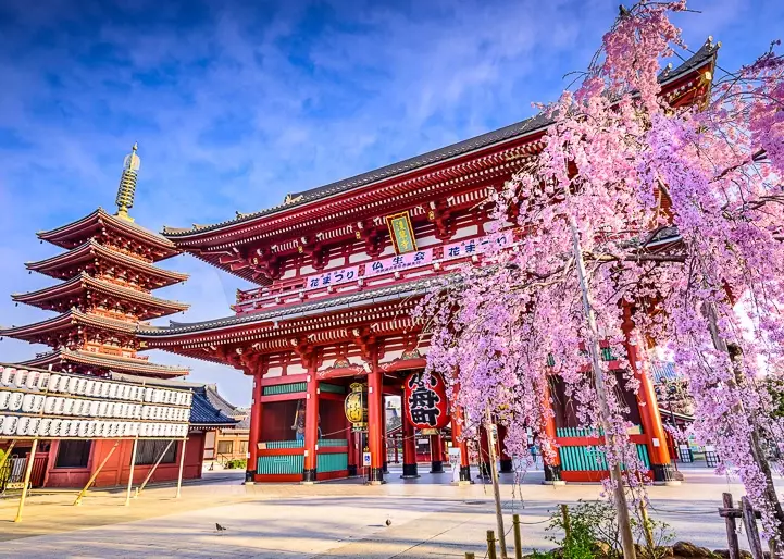 traveling alone in Tokyo