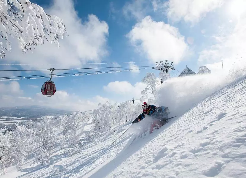 top Hokkaido skiing