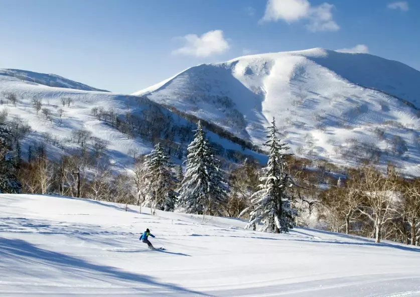 top Hokkaido skiing
