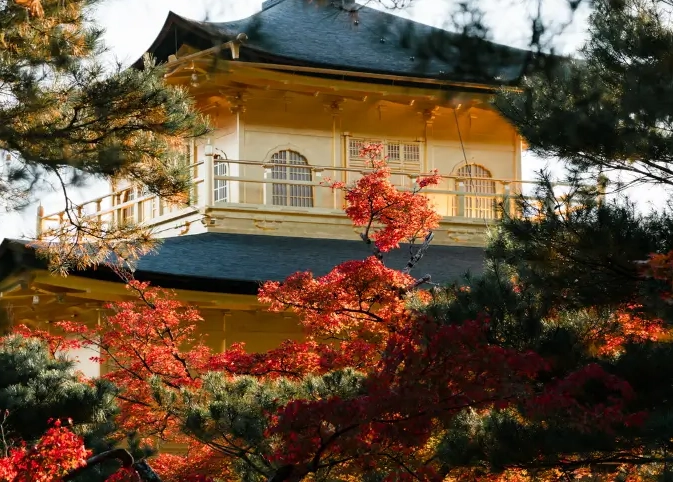 family trip to Japan family trip to Japan