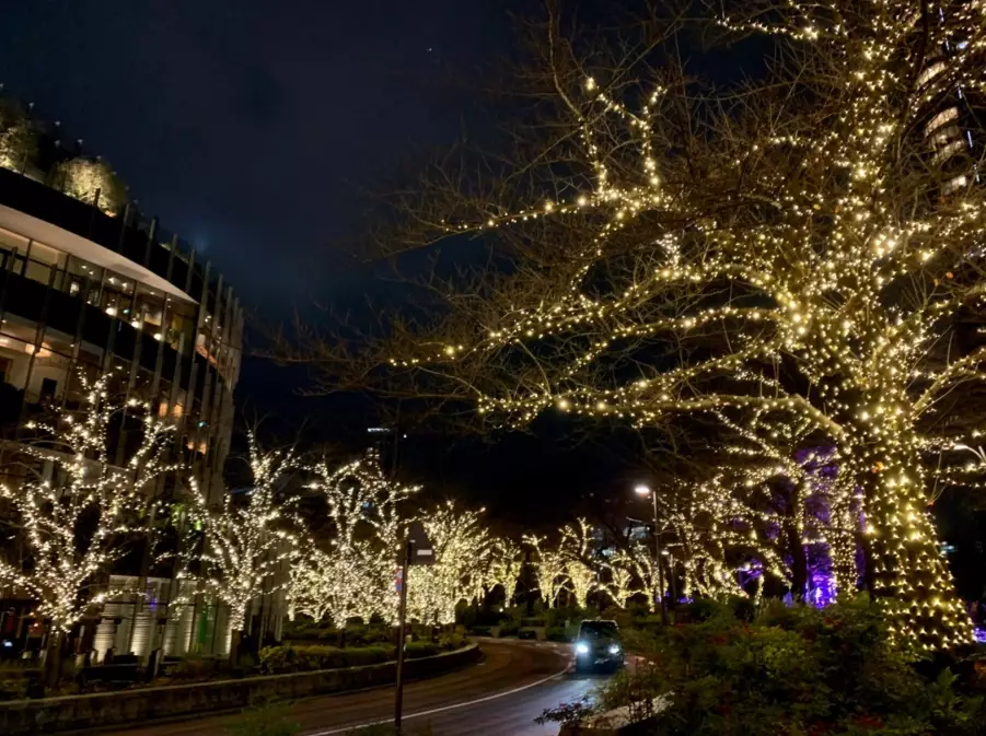 Tokyo winter illuminations