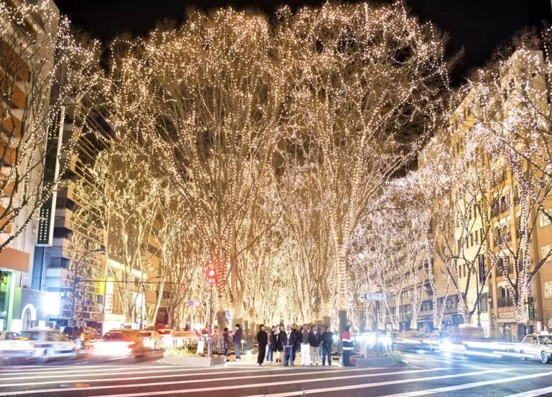 japan winter lights free