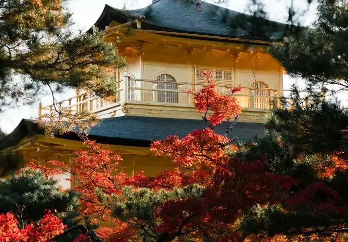 Japan travel with kids