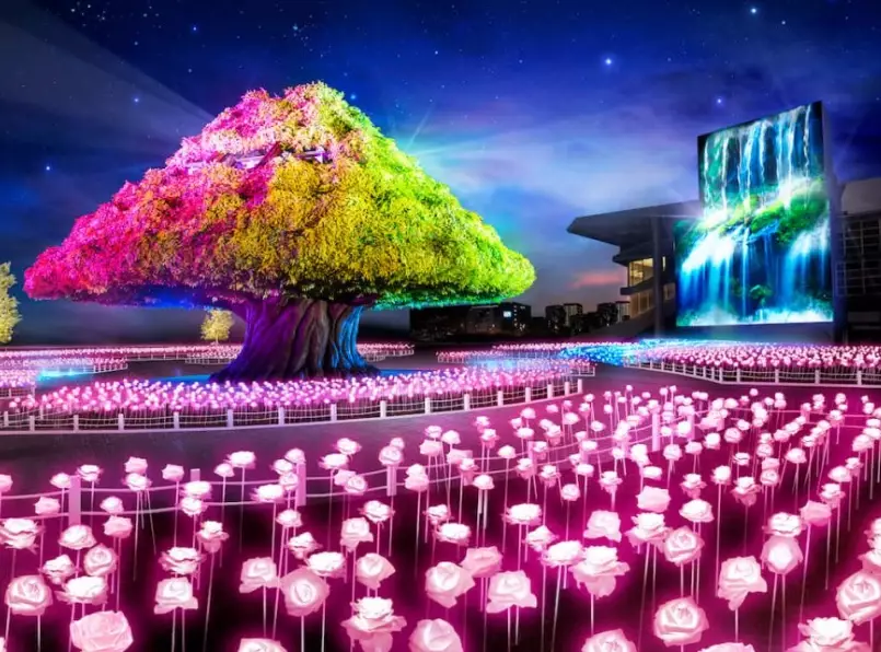 Tokyo illumination festival worth it