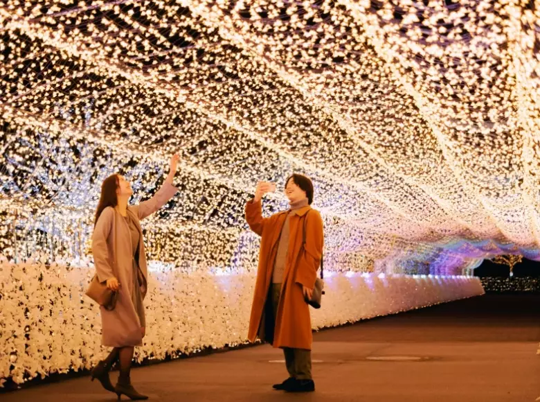 Tokyo Mega Illumination review