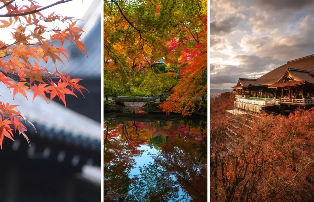 Japan autumn travel