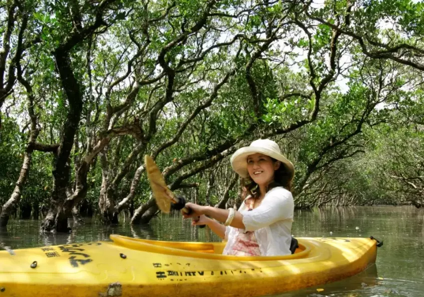 eco-friendly travel Japan