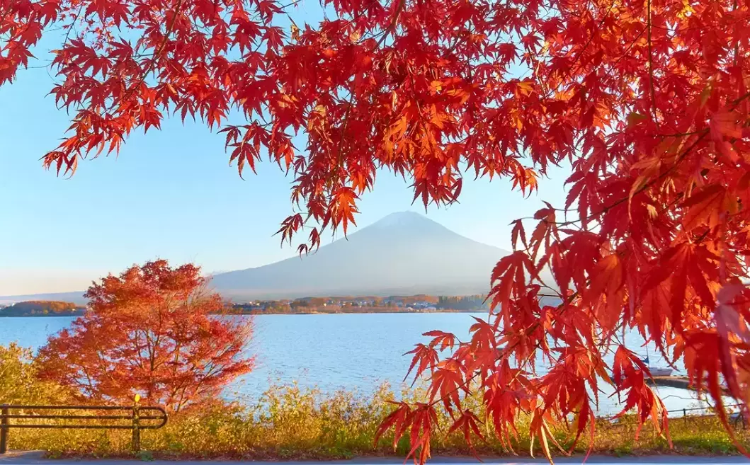 14 day Japan itinerary