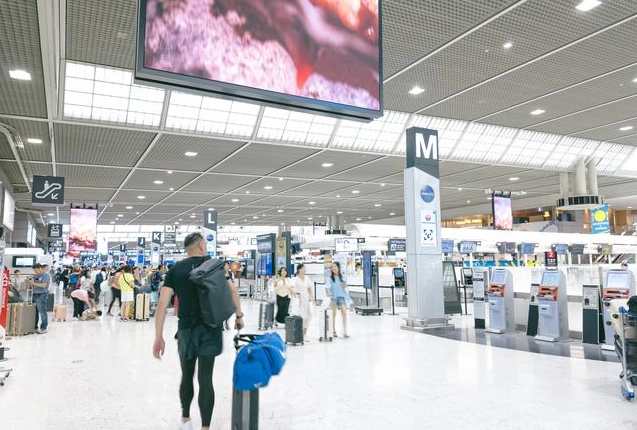 Tokyo airport transfer Tokyo airport transfer