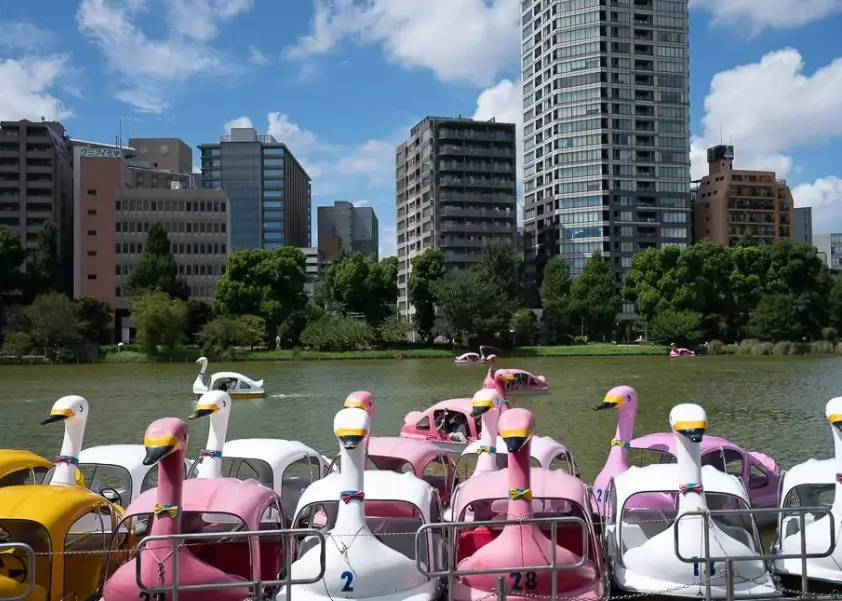 things to do in japan with kids