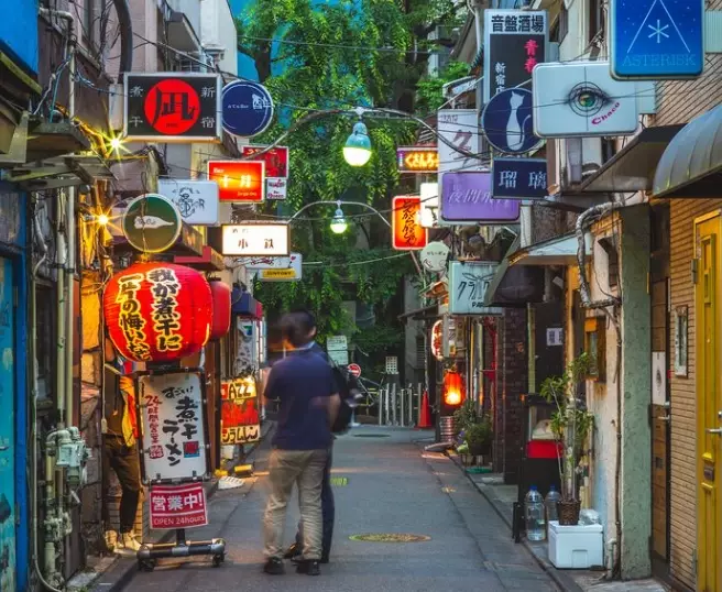 Japan digital nomad guide free