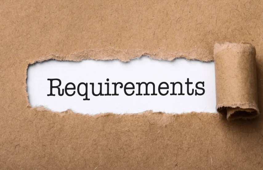 Japan work visa requirements