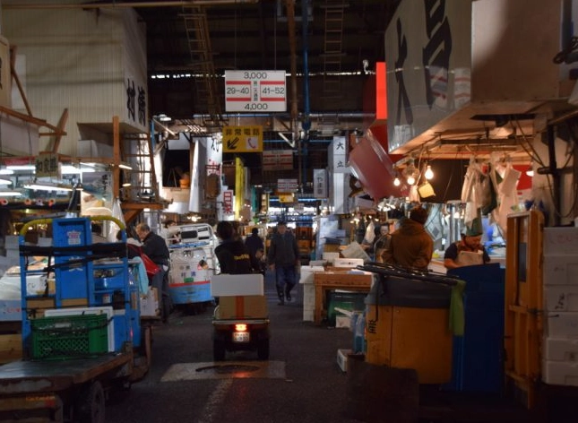 Toyosu Market tourist