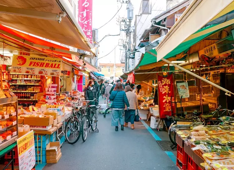 Can tourists go to Toyosu Market?
