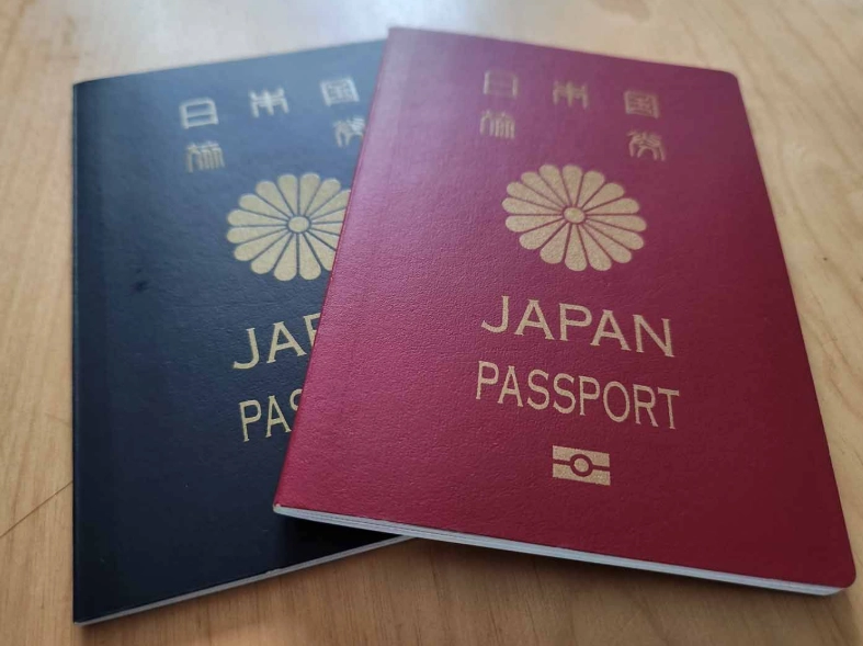 Japan work visa application fee