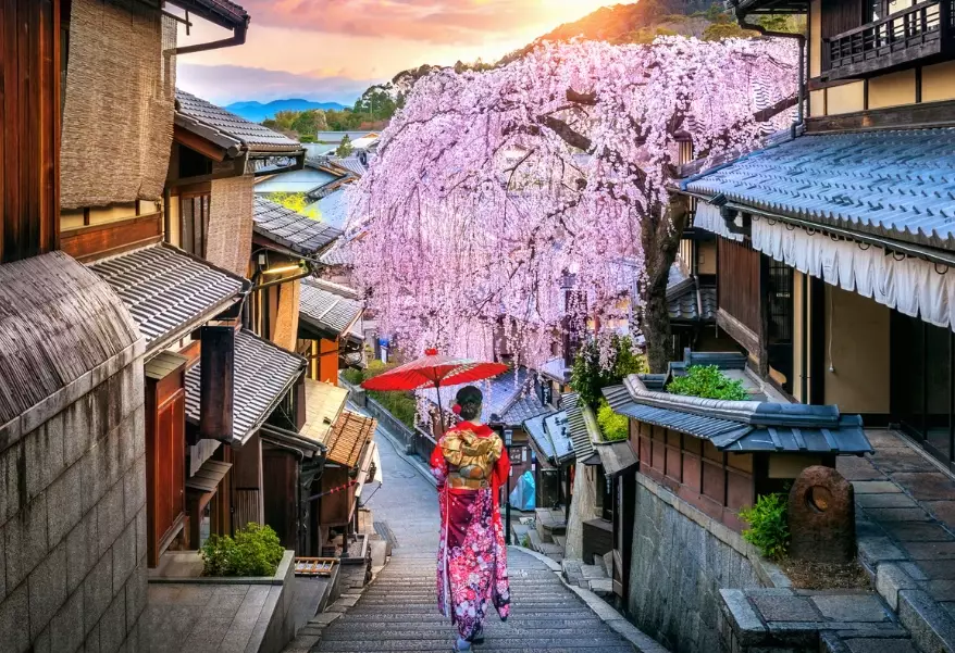 Japan solo travel guide