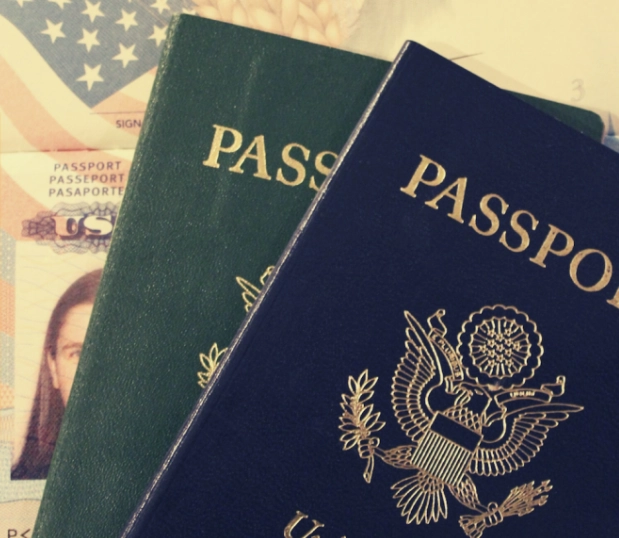 Japan work visa types