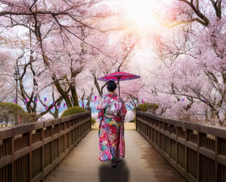 Top 15 places to visit in Japan