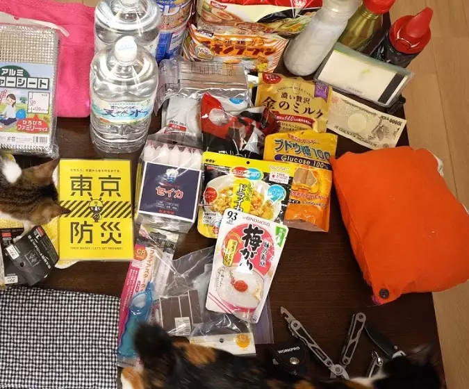 Japan travel emergency kit