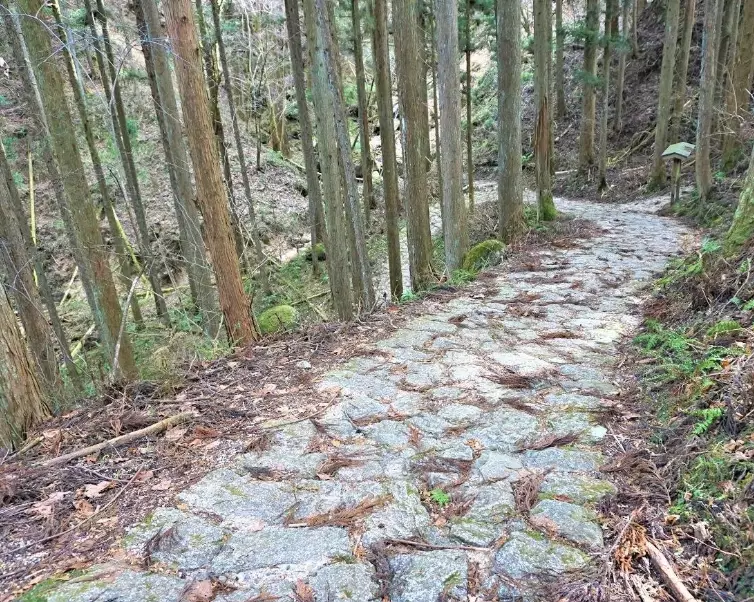 nakasendo trail