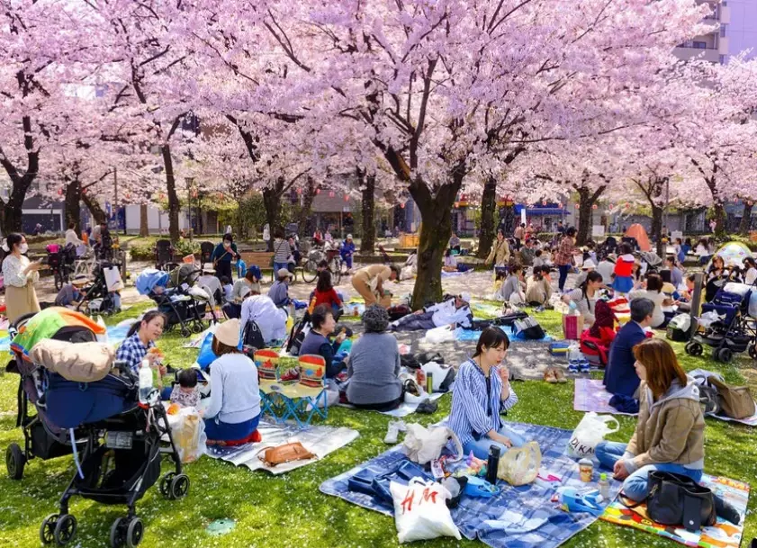 unusual festivals in Japan