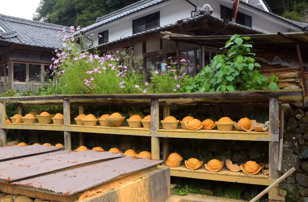 Japanese pottery tour price Japanese pottery tour price